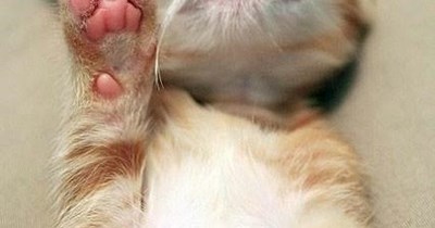 Talk to the hand