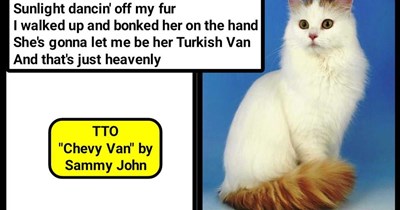 "Turkish Van" (TTO "Chevy Van" by Sammy Johns)