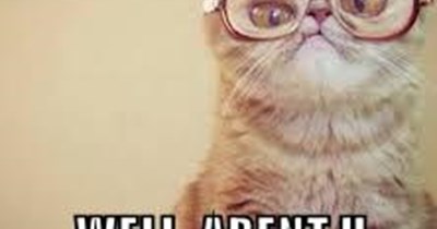 Aren't you...