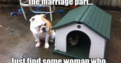 So, he's OUT of the doghouse?