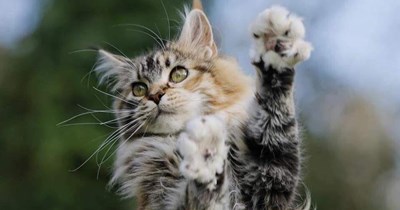 Invisible semaphore