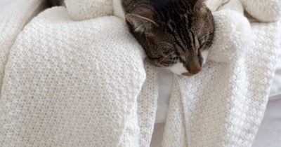 The sleepy contrarian