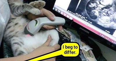 But we will spay after