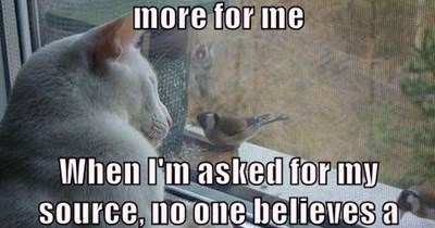 Just a little bird
