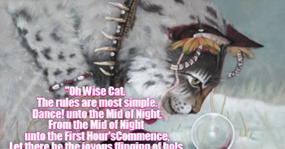 Wise Cat Gets The Answers.