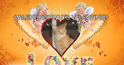 Wuts Valentine?