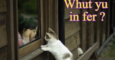 Whut yu in fer?