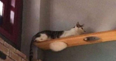 Just hanging out