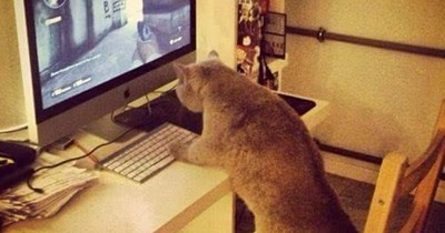 New game genre: "1st pawson pew pew pew"