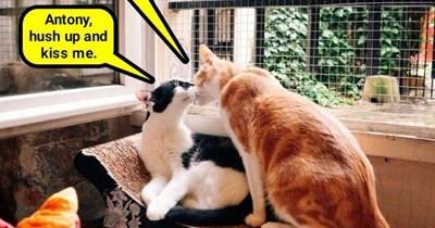 Antony and Cleocatra