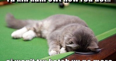 Red dot chase