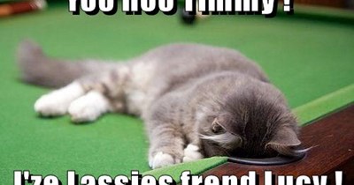 Yoo hoo Timmy