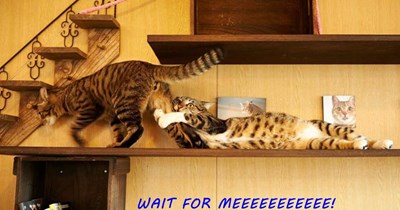 Don't go without me!