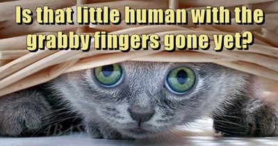 Is that little human with the grabby fingers gone yet?