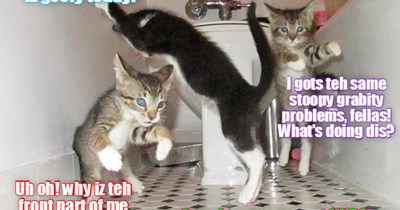 KKPS: Skolars in teh baffroom for teh Skool Kafeteria suddenly eggsperienses grabities dat ar acting bery strange! What mite be teh cause?!