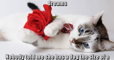 Waited all day to give this to the girl of my dreams