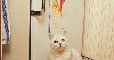 Another starving artist.