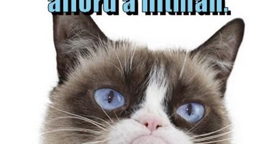 Grumpy Cat at it again