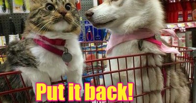 Put it back!