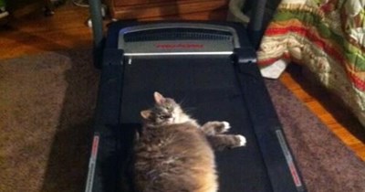 Exercise is easy.