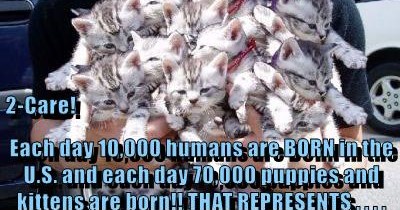 So many!