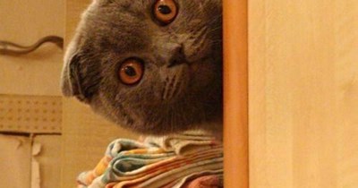 Don't come in here