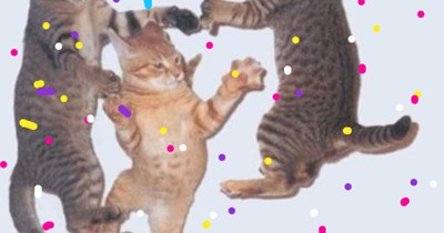 Wuts up at the Ballentwyne Glitterbrawl? - B.G.D.F.