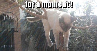 Hang around