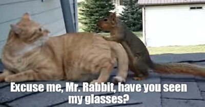 Squirrel Magoo just made someone's day!