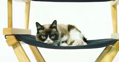 Those were stage directions?