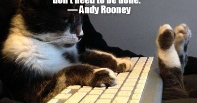 Except cats that must be captioned!