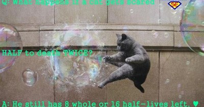 16 half-lives