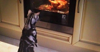 Supervisor