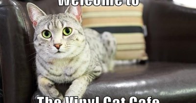 Vinyl Cat Cafe