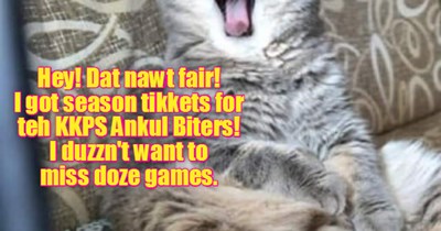 KKPS 2017: Upon hearing teh stunning news dat Erf likely haz just one mor day to exist, many kitties eggspress grate shock!