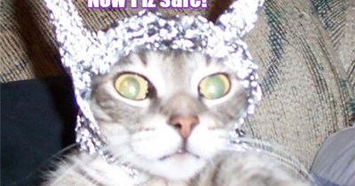 After hearing teh terrible news on TV dat teh Awiens will bery soon destroy Erf, Snookers dons hims tin foil hat to protect hims from Erf's eggsterminashun!