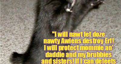 While kitties habs many different reackshuns to teh Plutonian Supreme Overlord's annownsement dat teh Plutonians and Daleks will likely destroy Erf, brave Skolar Mischeff stands her grownd!