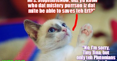 Many kitties and goggies wonder who mite be dat Erfling purrson dat could help to stawp teh Erf's destruckshuns..
