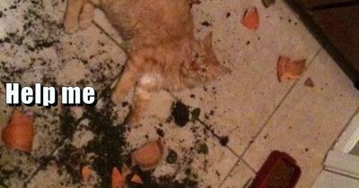 Wasn't me.