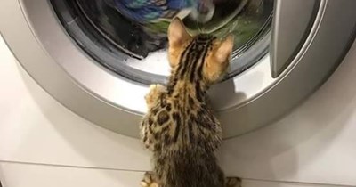 A serious bath