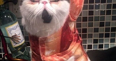 I can count to bacon