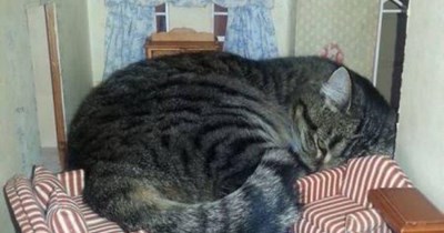 A sleep in