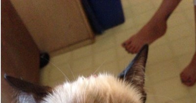 Grumpy edition