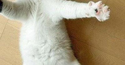 Achoo!
