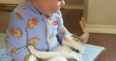 Tiny friendship