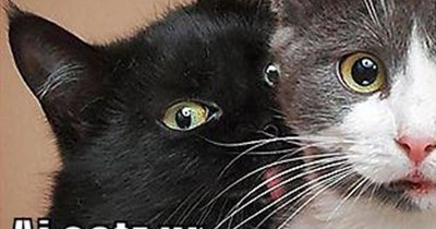 That's a threat