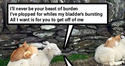adapted from "Beast Of Burden" by The Rolling Stones