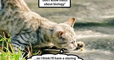"Don't know much about biology"
