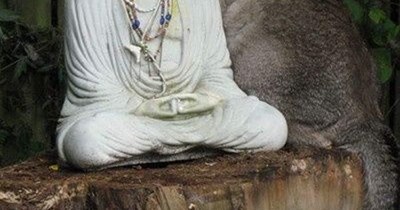 Spreading enlightenment