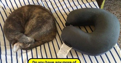 It's supurrior